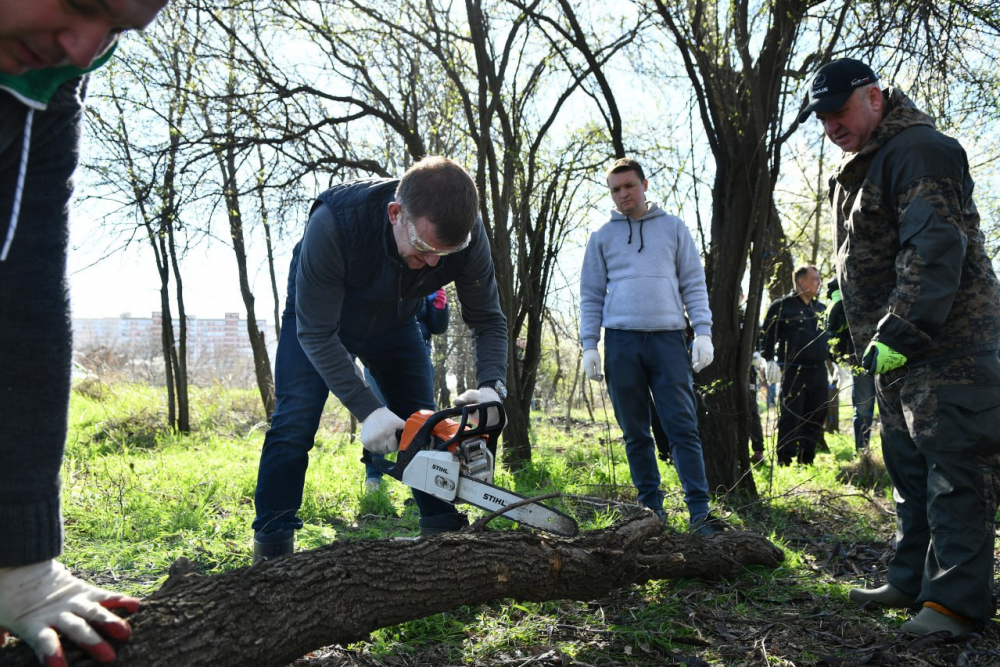 В Краснодаре в рамках двухмесячника по наведению порядка очистили лесополосу на Красных Партизан