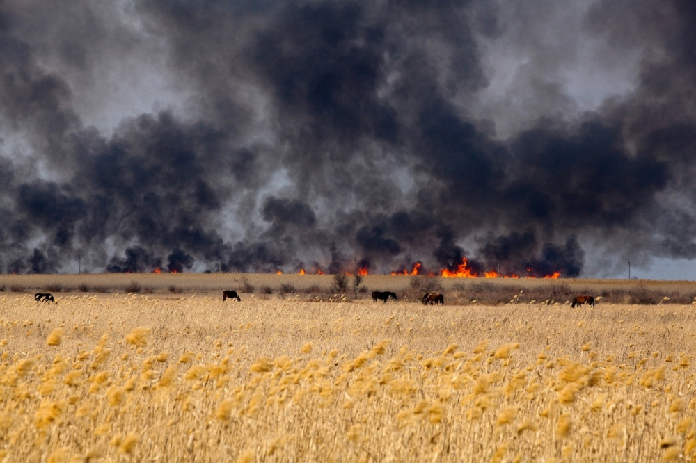 Борьба продолжается: семь действующих очагов лесных пожаров тушат на Кубани