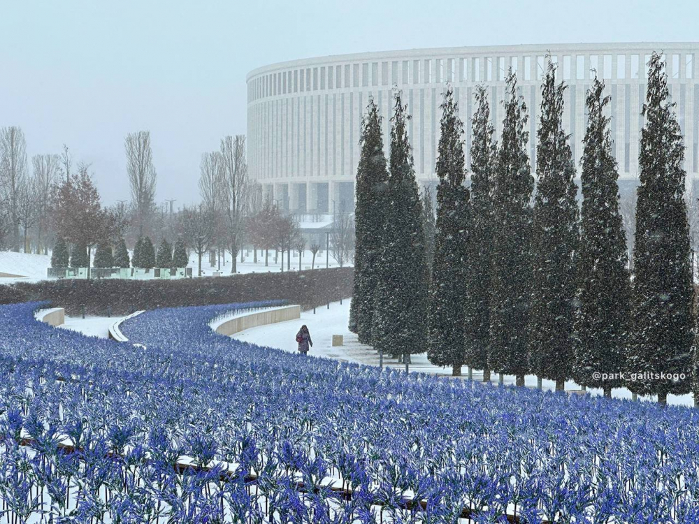 В парке Галицкого краснодарцам запретили лепить снеговиков и кататься на горках
