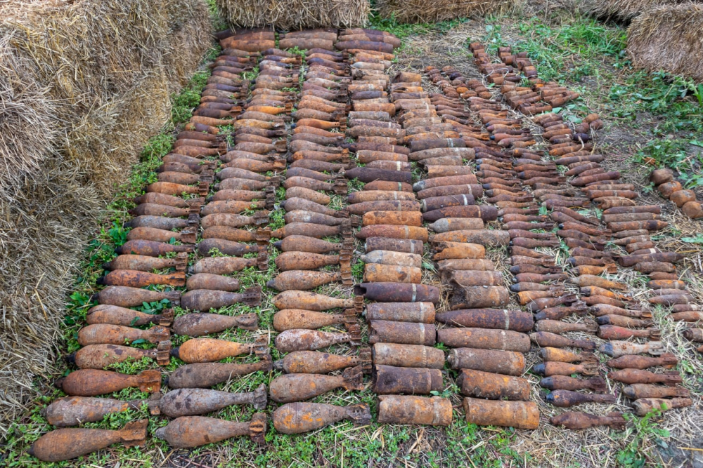 Ходил по минам: житель Краснодарского края обнаружил более 350 боеприпасов времен ВОВ в собственном дворе