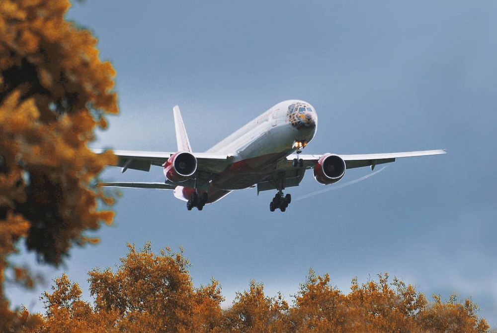 Самолет авиакомпании «Россия» экстренно сел в Краснодаре