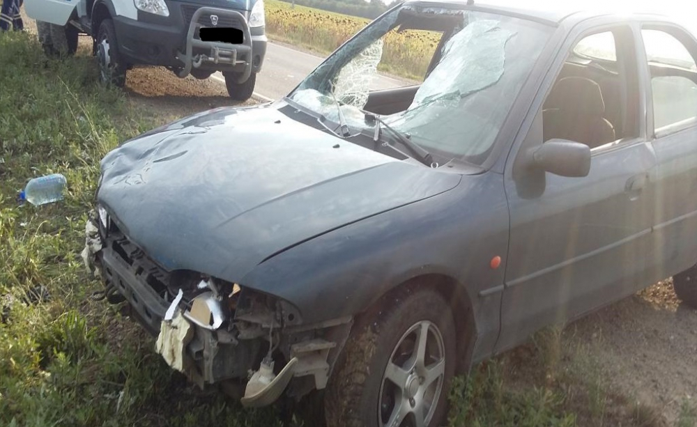 В Краснодарском крае автомобилист сбил 4 пешеходов: погиб младенец