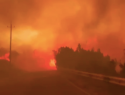 Горит лес, базы отдыха, машины: что известно о сильнейшем пожаре в Абрау-Дюрсо