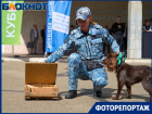 Чемоданчик криминалиста и выступление кинолога: МВД открыло выставку на площадке КубГАУ