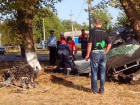 Страшное ДТП в станице Кореновской: «Ауди» врезалось в дерево, водитель погиб