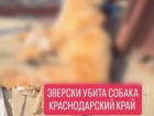 На Кубани пенсионерка задушила проволокой застрявшую в заборе собаку