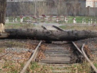 Движение поездов в Сочи остановлено из-за упавших на железную дорогу деревьев