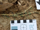 Редчайшую арфу IV века нашли на Тамани археологи