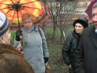 В Краснодаре продолжают вырубать деревья на Ростовском шоссе