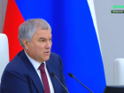 Это - дискриминация женщин: краснодарский политолог о заявлении Володина брать на госслужбу лишь служивших