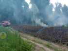 В Краснодаре сгорело 450 кв метров лесопарка