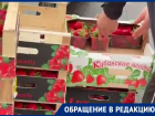 «Импорт выдают за местную клубнику»: в Москве застали врасплох торговцев «кубанской» ягодой