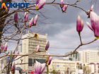 Выходные в Краснодаре начнутся с дождя и грозы