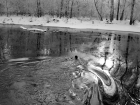На Кубани грабитель-неудачник прыгнул в озеро, спасаясь от полицейских