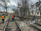 Деревья падают, трамваи стоят: Краснодар пострадал из-за разгула стихии