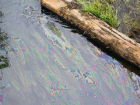 Прокуратура Кубани обнаружила вероятного виновника загрязнения реки Иры нефтепродуктами