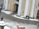 В центре Санкт-Петербурга из обреза расстреляли омоновца из Краснодара