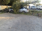 Ураганный ветер на Кубани: повалены столбы и десятки деревьев, сорваны крыши 