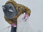 Лепим снеговиков: Краснодарский край накрыло снегом