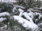 Всемирный день снега пришел в Краснодарский край со снегом и лавинами