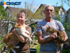 «Продали квартиру и машину ради 150 кошек»: приют в станице Краснодара оказался в долговой яме