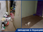 «Как-то стали шевелиться»: УК убрала часть хлама из утопающего в мусоре коридора в многоэтажке Краснодара
