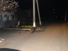 В Гулькевичском районе разбился водитель мопеда 