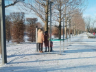 Мороз отпугнул краснодарцев от Японского сада