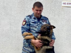 Служебная собака смогла найти пропавшую 10-летнюю девочку в Краснодаре