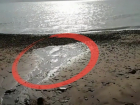  Базы отдыха на Тамани сливают нечистоты в Черное море 