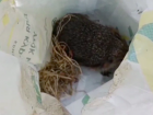 Живодеры засунули ежа в мешок в Краснодарском крае: видео