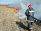 В Краснодаре в районе «Баскет-холла» загорелась сухая трава