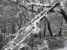 МЧС: в горах Сочи ожидается налипание снега на проводах и деревьях