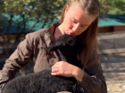 В Краснодарском крае новорожденный малыш альпаки шокировал своим размером