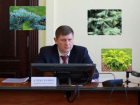 «Картина прискорбная»: в Краснодаре представили проект озеленения