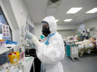 Биолог из Краснодара оценил вероятность лечения коронавируса чернушкой