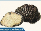 Трюфелями, которые растут в Краснодарском крае, уже не удивишь