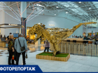В «Мега Адыгея-Кубань» поставили громадных динозавров из компьютеров, мобильников, ноутбуков и автозапчастей