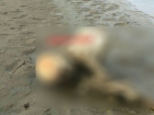  Половину человеческого скелета и его скальп нашли в Курганинском районе 