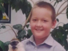 Активная фаза поисков 9-летнего мальчика на Кубани окончена