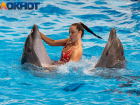 «Они как люди!». В Краснодарском крае продолжается безжалостная эксплуатация дельфинов