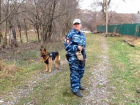 Овчарка Яра помогла раскрыть кражу бензопил в Краснодарском крае 