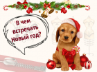 В чем встречать Новый год 2018?