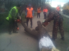 На Ростовском шоссе пенсионеры противостояли рабочим с бензопилами 