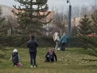 В парке Галицкого отдыхающие уничтожают уникальные крокусы
