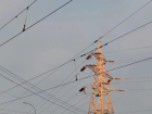 В Краснодаре лишат электричества более 40 улиц