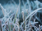Первые заморозки: в Гидрометцентре предупредили о резком похолодании на Кубани