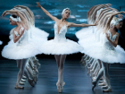 «Легендарные хореографы XX века» пройдут в краснодарском театре балета