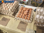 Продавцы задрали цены на творог и яйца в Краснодаре