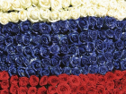 В Краснодаре 12 июня создадут триколор из 50 тысяч роз для рекорда России